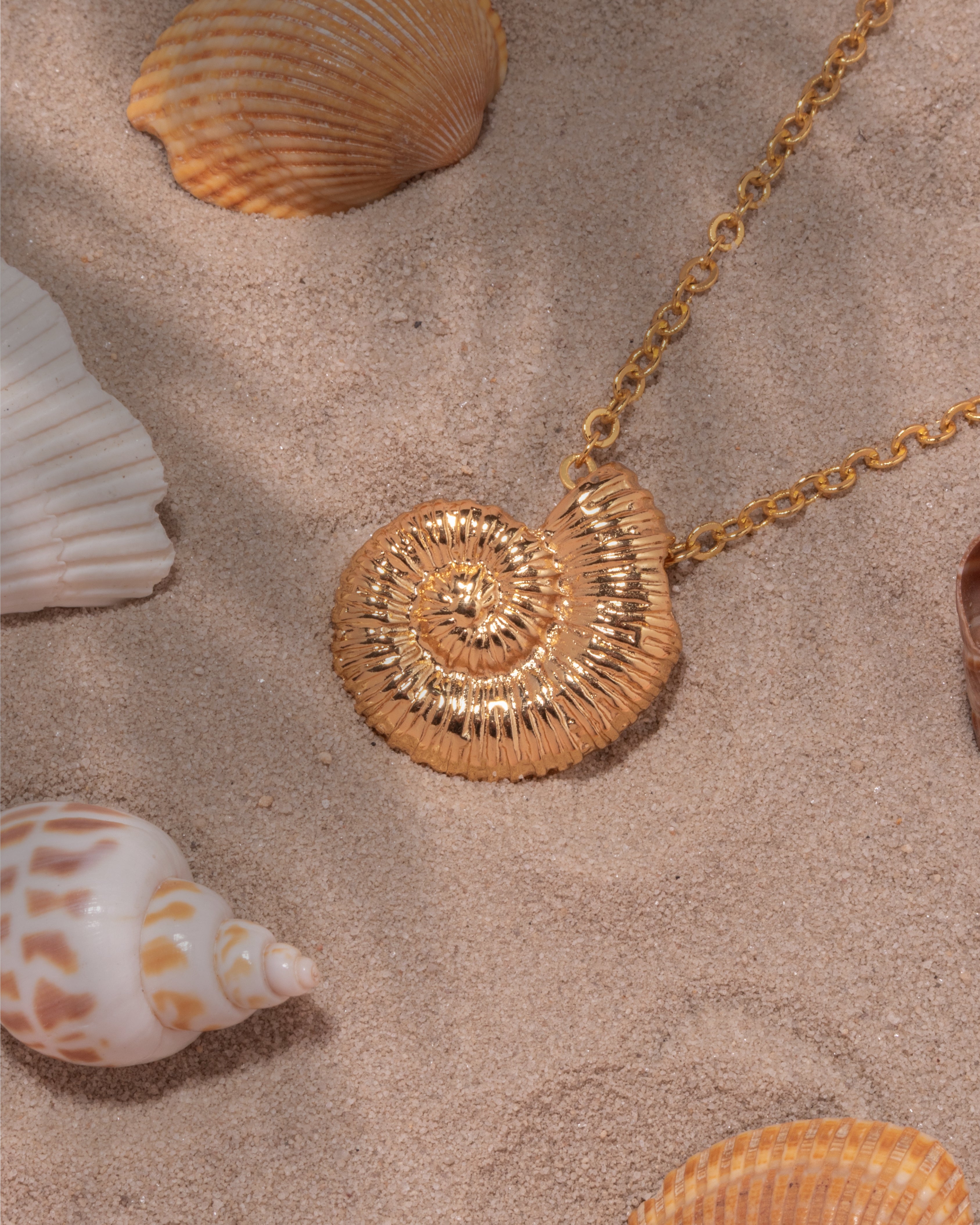 Collar Caracol + Aretes