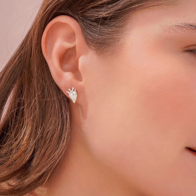 Aretes Corazón Anatómico Plata