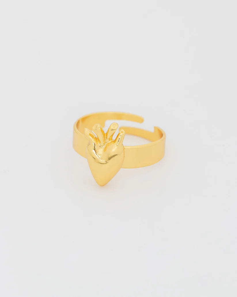 Anillo Graduable Corazón Anatómico