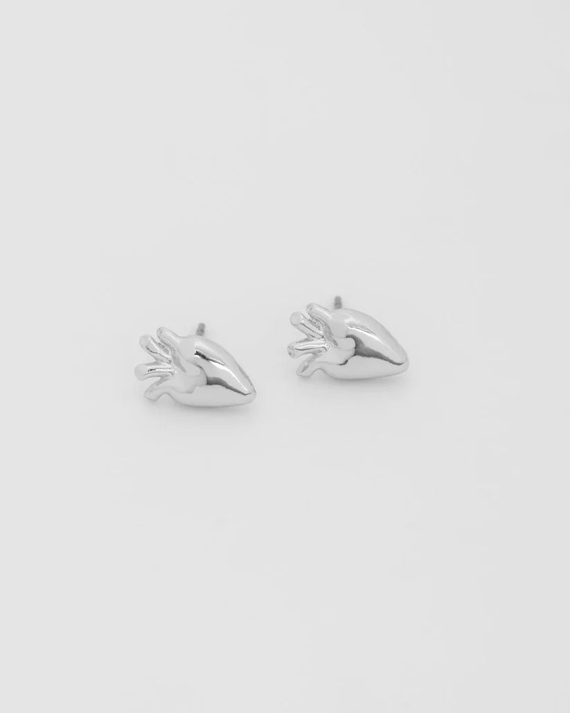 Aretes Corazón Anatómico Plata