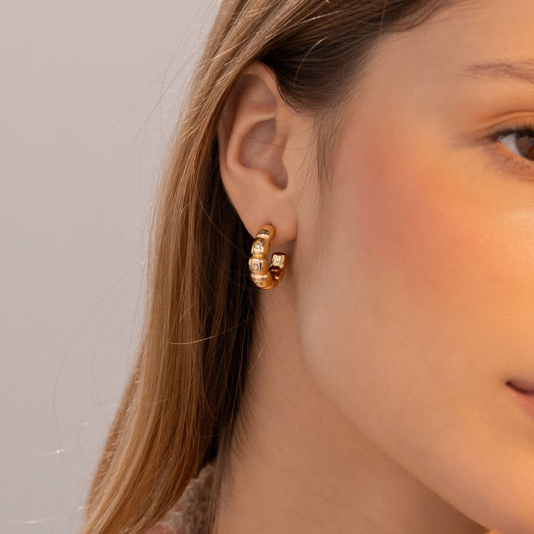 Arete Libelula Cristal
