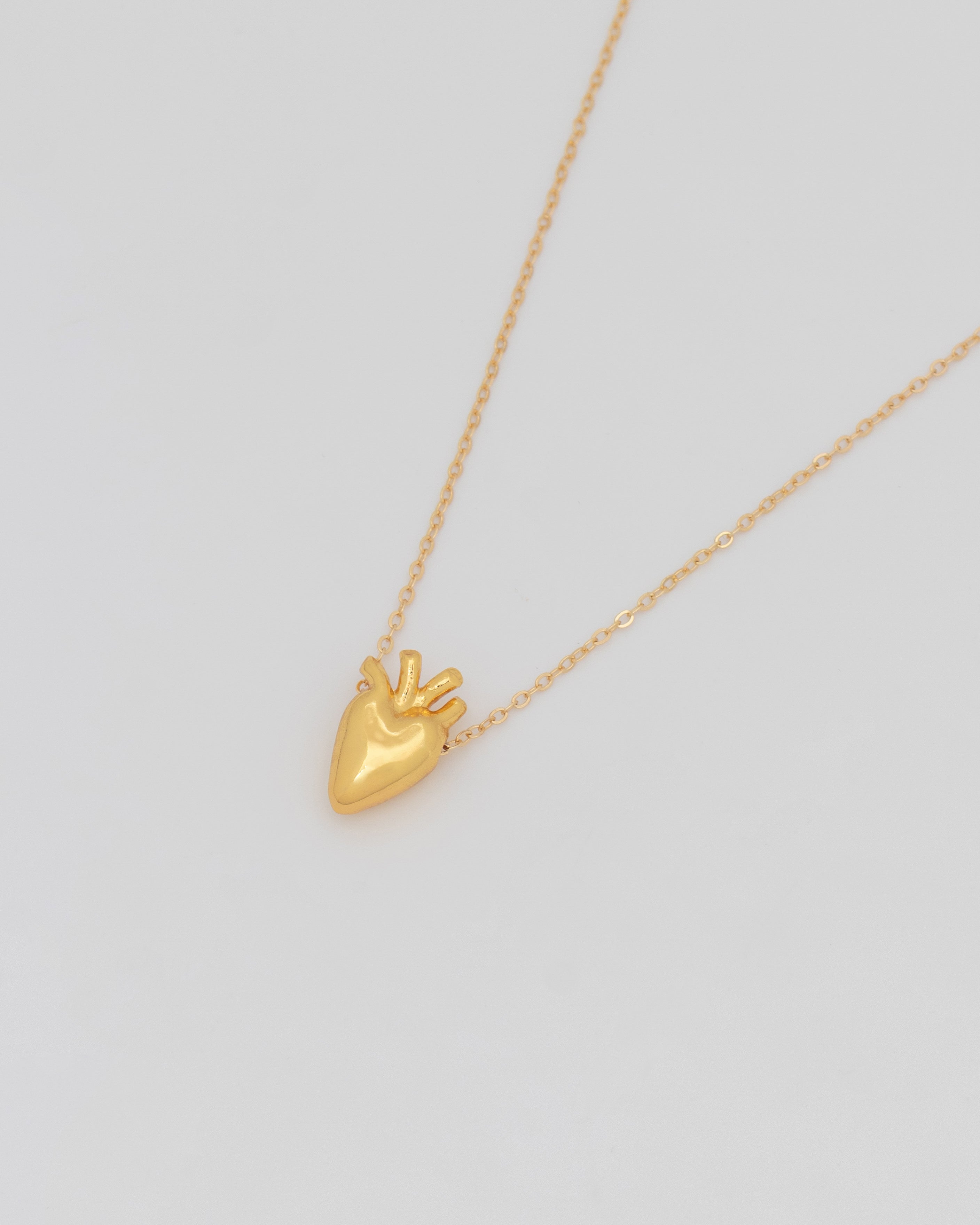 Collar Corazón Anatómico