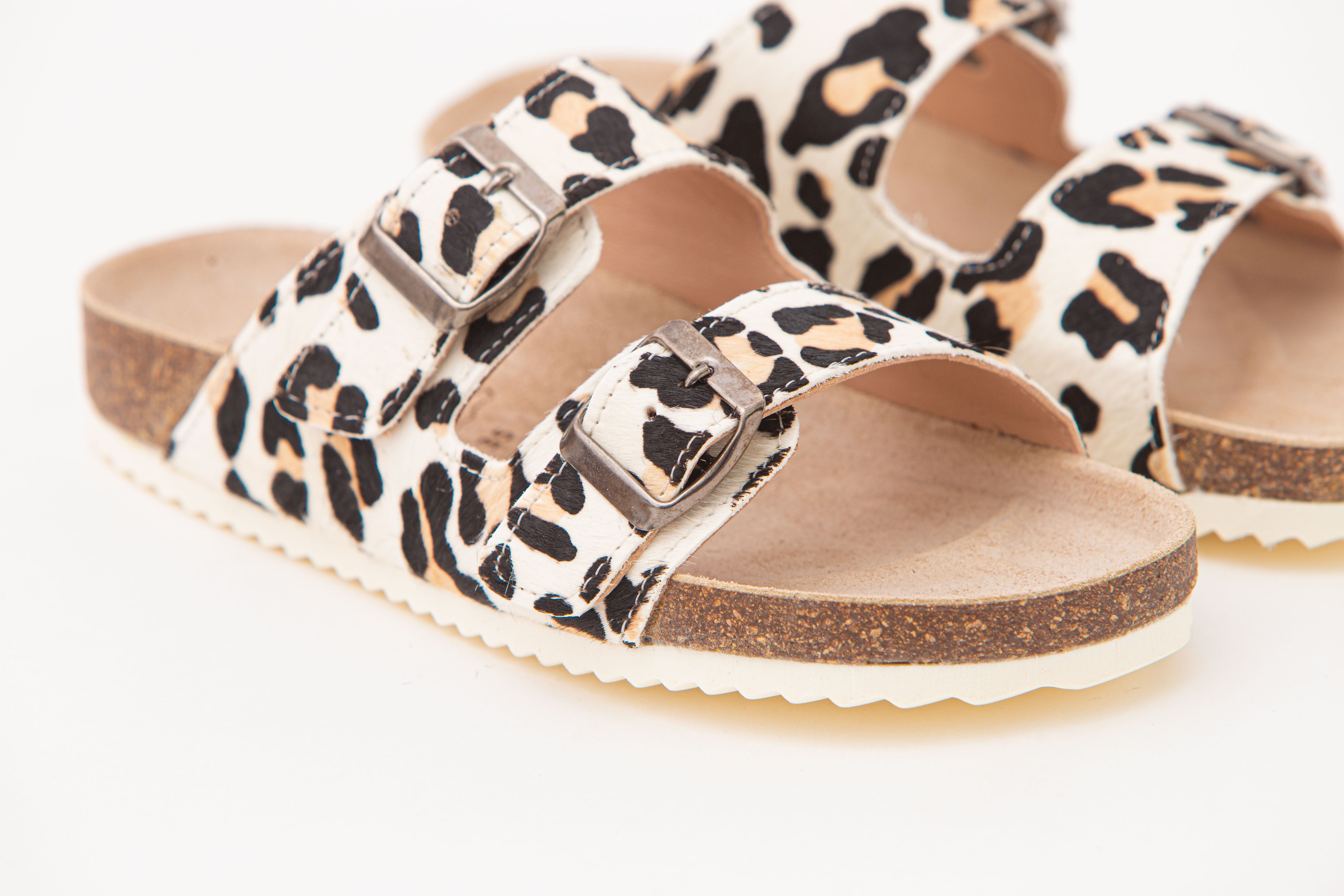 Stuttgart Pony Guepardo